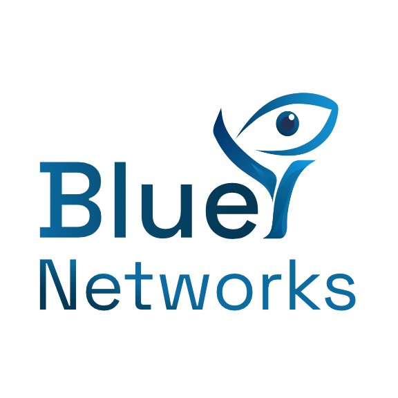 BlueYNetworks cybersecurity consulting logo